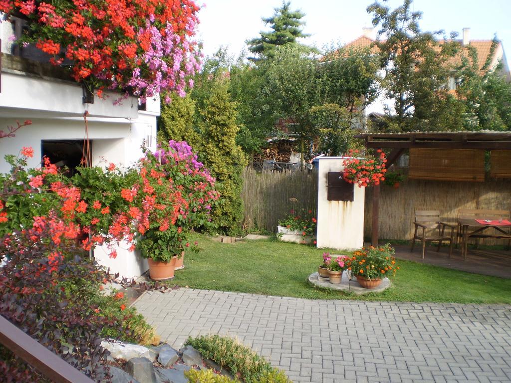 Apartment Za Postou Belkovice Exteriör bild